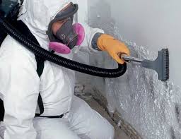 Best Airborne Mold Testing  in Bedford, IA